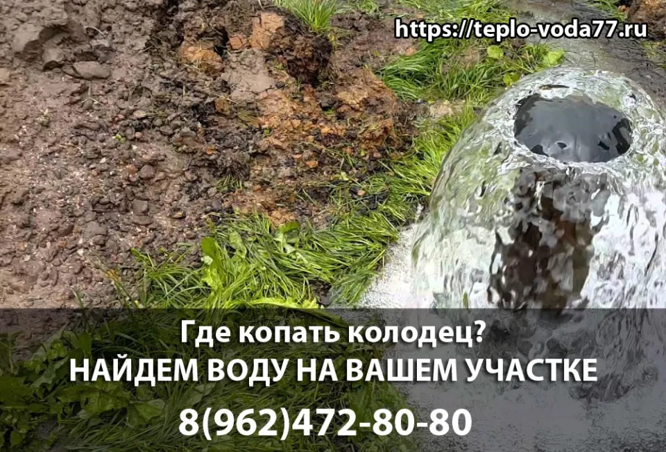 Поиск воды на участке в Мытищах перед копкой колодца